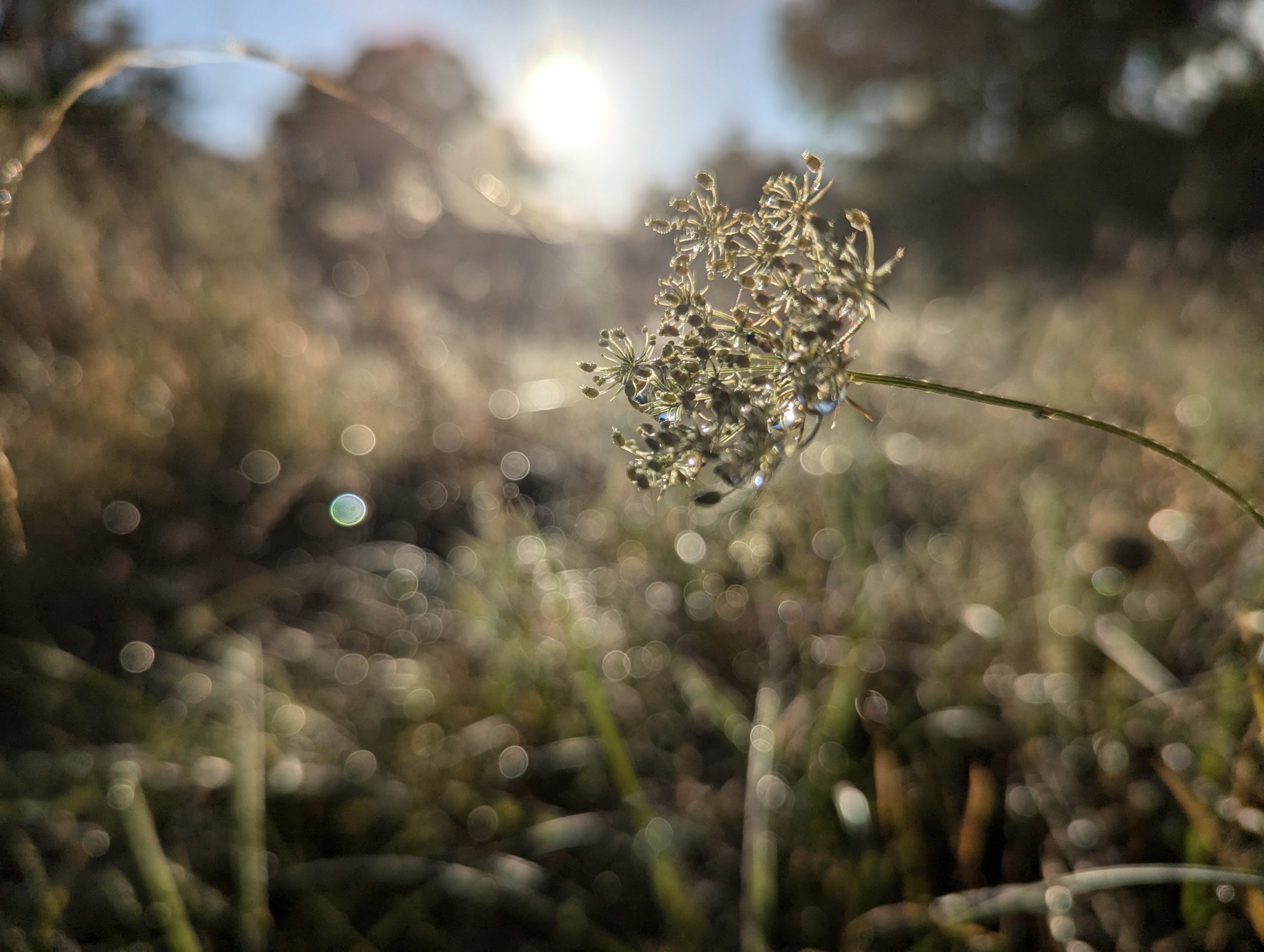 B8441766-CEA1-4031-80E4-A31ED09382E9_1_201_a